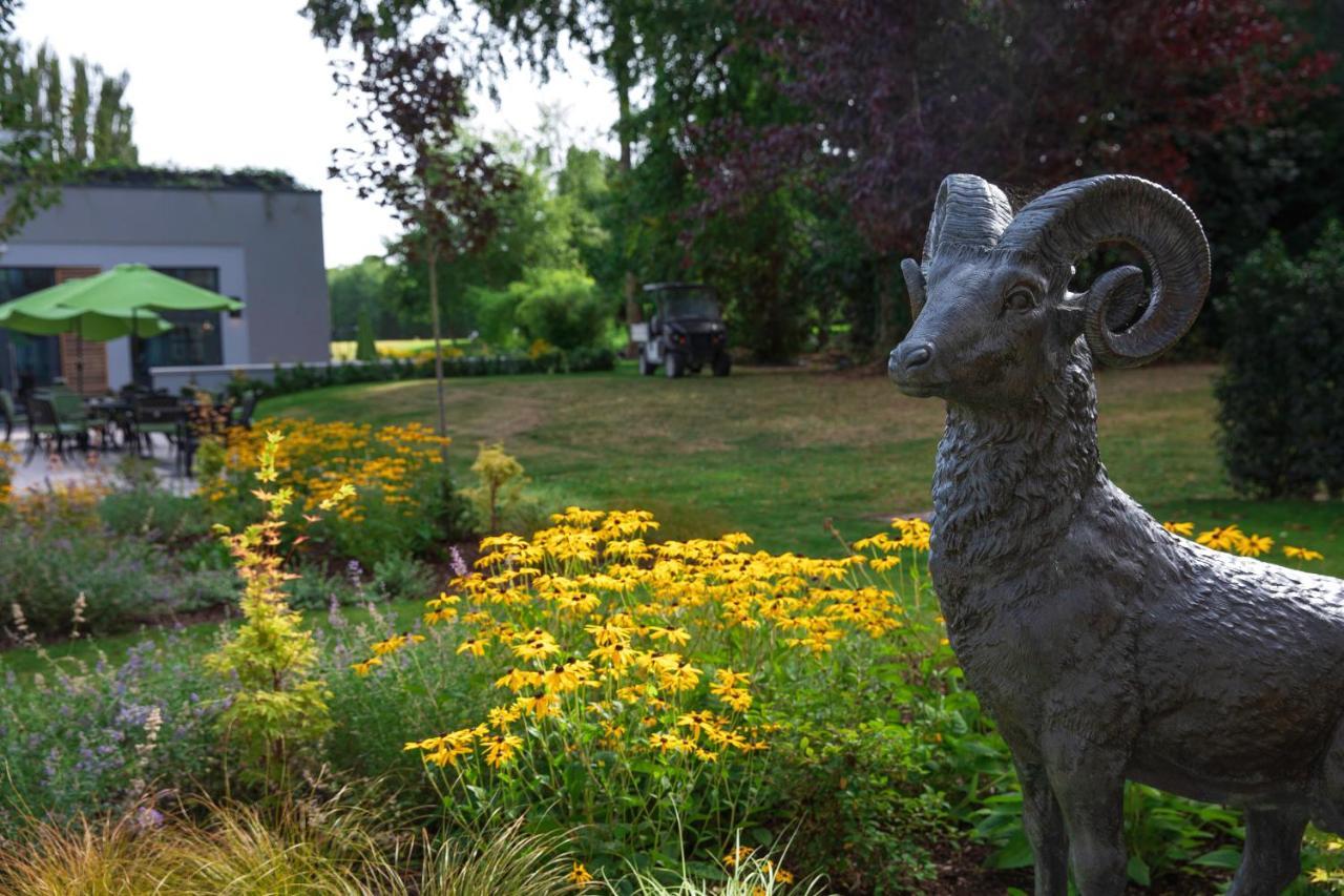 Castlemartyr Resort Hotel Εξωτερικό φωτογραφία The Bighorn Sheep statue at the entrance of the Bighorn Sheep Provincial Park
