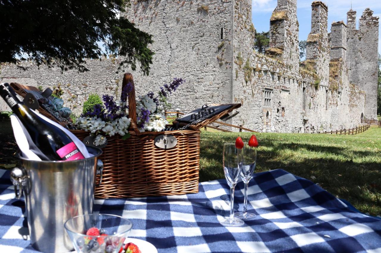Castlemartyr Resort Hotel Εξωτερικό φωτογραφία Picnic at Trim Castle